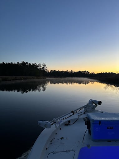 Eco Tours Inshore Addiction Charters