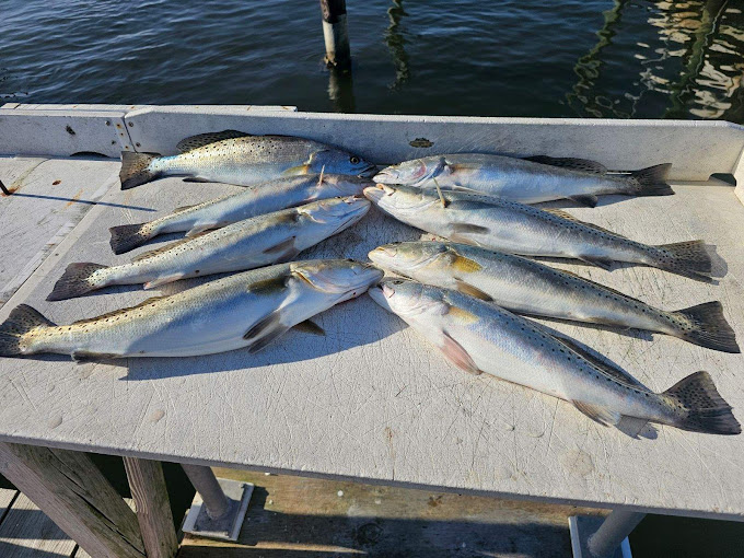 6 hour fishing trips Inshore Addictions Charters