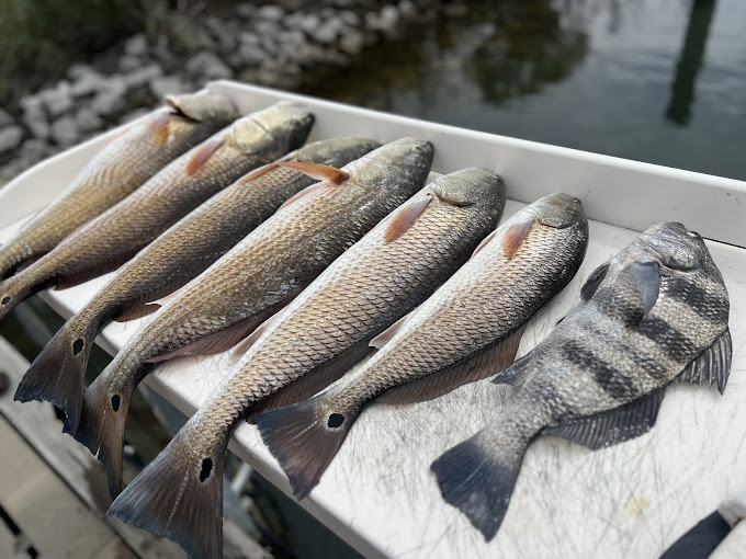 Inshore Fishing by Inshore Addiction Charters