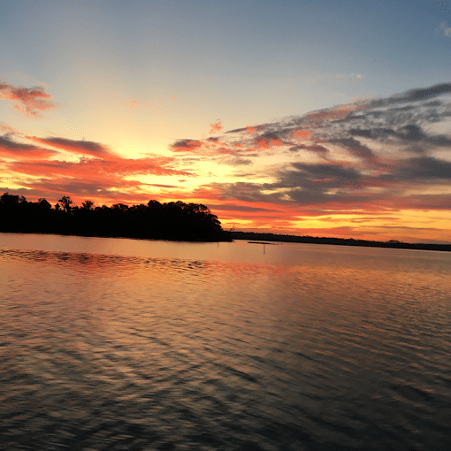 Inshore Addiction Charters Eco Tour